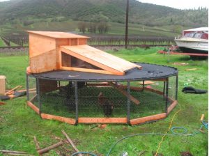 An upcycled repurposed trampoline being used as a hen coop.